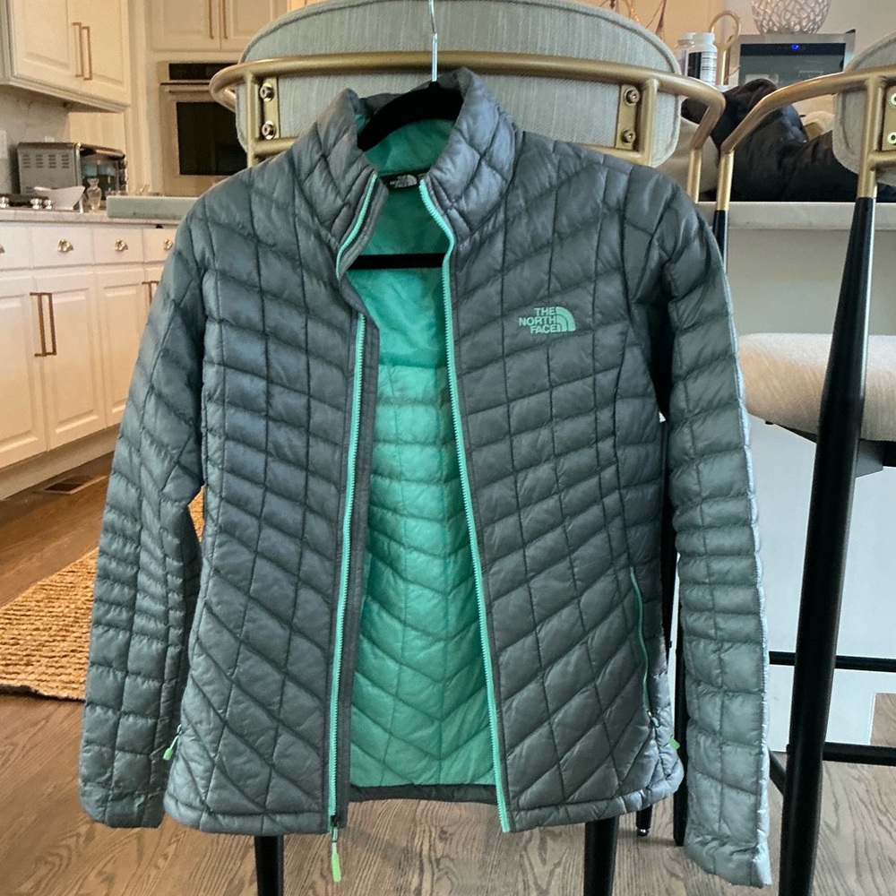 The North Face Gray Jacket with Mint Interior